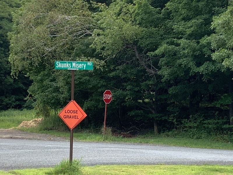 Pine Plains Northeast Line Marker Site image. Click for full size.