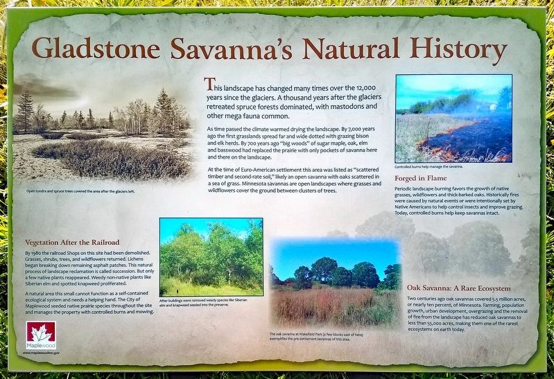 Gladstone Savanna's Natural History marker image. Click for full size.