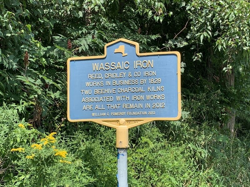 Wassaic Iron Marker. Click for full size. Wassaic Iron Marker image. Click for full size.