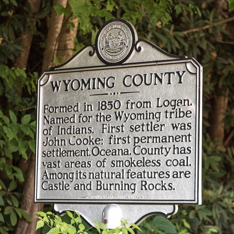 Wyoming County side of marker image. Click for full size.