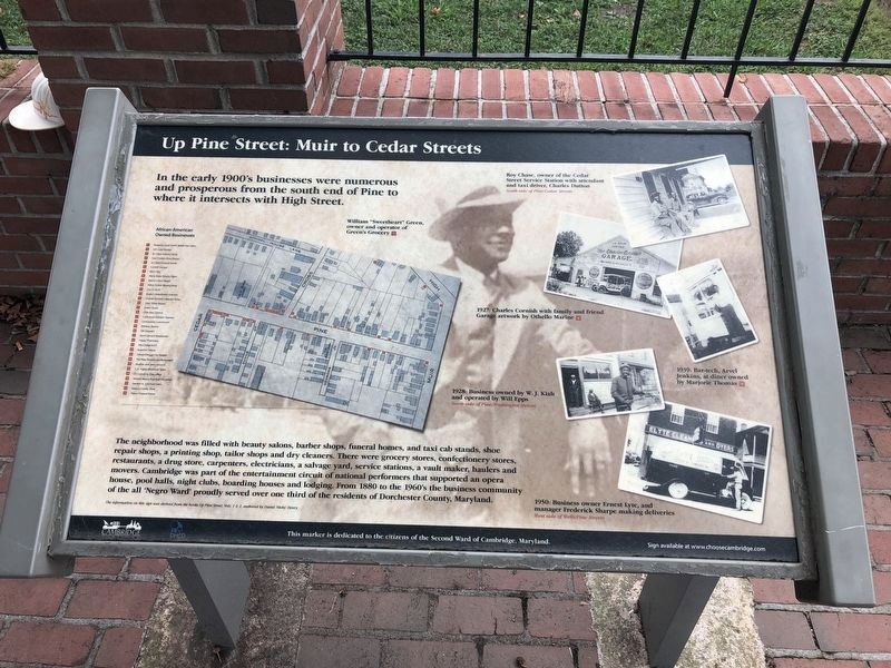 Up Pine Street: Muir to Cedar Street Marker image. Click for full size.