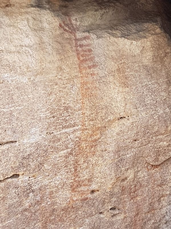 Nearby rock art, possibly depicting an agave flower image. Click for full size.