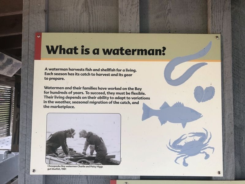 What is a waterman? Marker image. Click for full size.