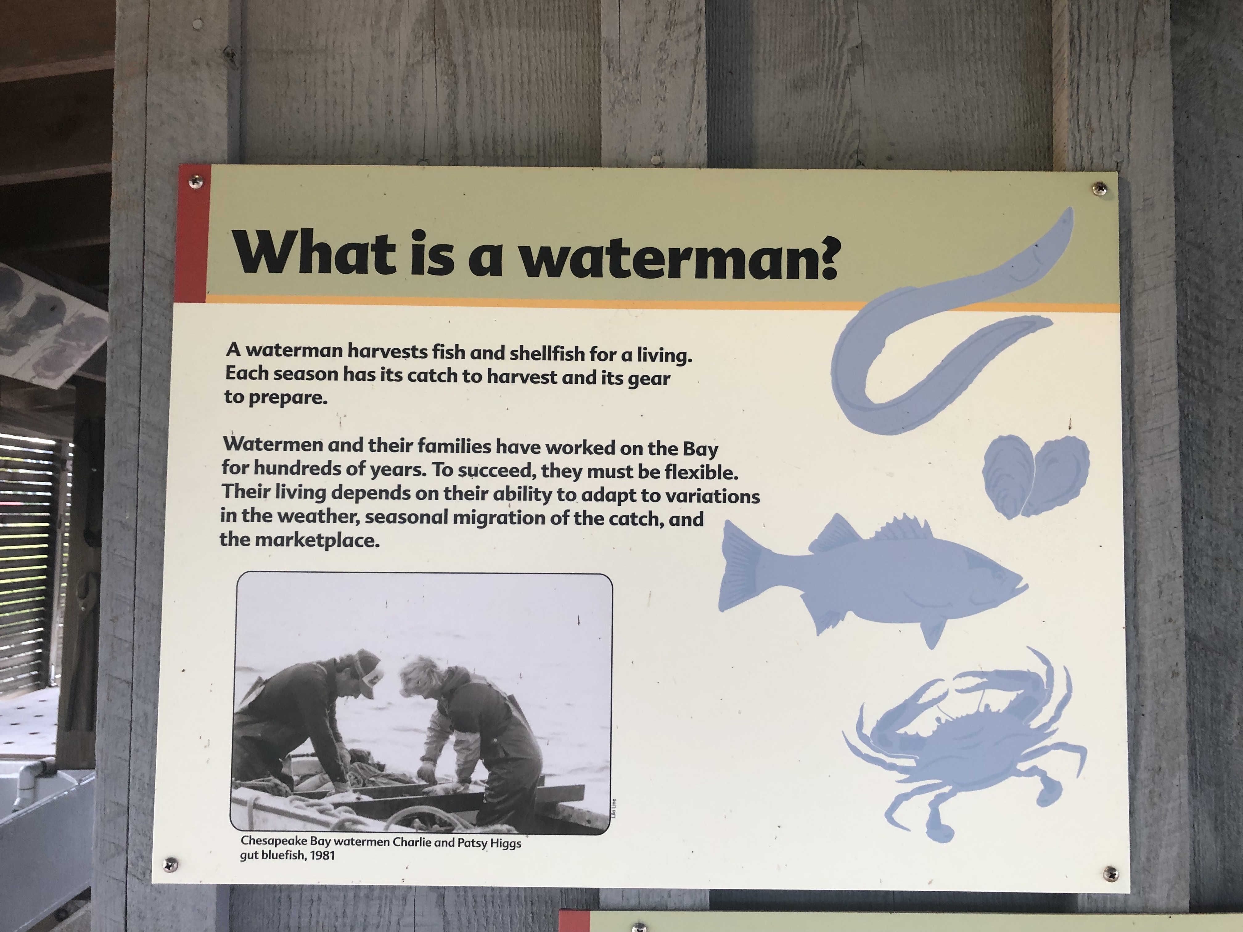 What is a waterman? Marker