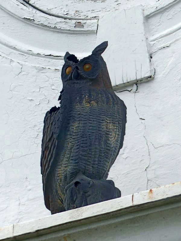Great Horned Owl<br>(plastic) image. Click for full size.