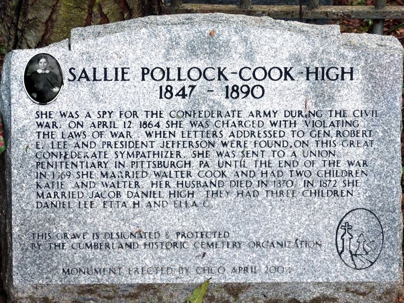 Sally Pollock-Cook-High Marker image. Click for full size.