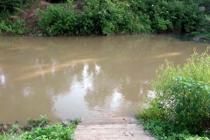 Harpeth River Restoration image. Click for full size.