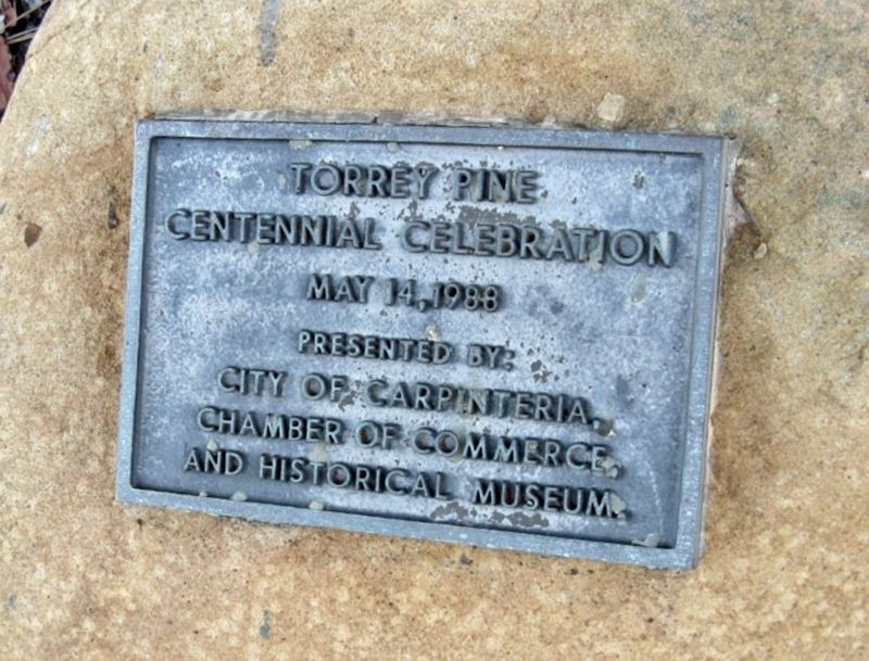 100th Anniversary Marker, 1988 image. Click for full size.