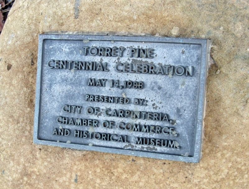 100th Anniversary Marker, 1988. Click for full size. 100th Anniversary Marker, 1988 image. Click for full size.