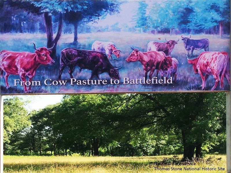 From Cow Pasture to Battlefield Marker's main image.. Click for full size. From Cow Pasture to Battlefield Marker's main image. image. Click for full size.
