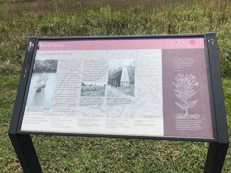 "...a hopeful Colony" Marker. Click for full size. "...a hopeful Colony" Marker image. Click for full size.