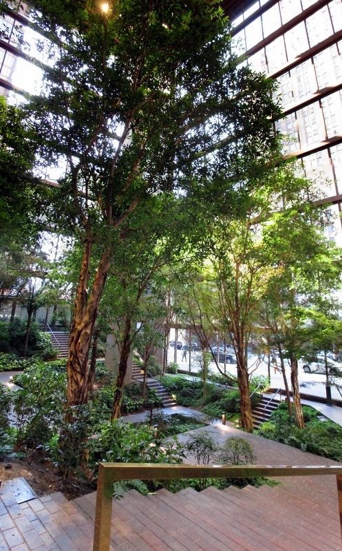 The Ford Foundation Building atrium image. Click for full size.