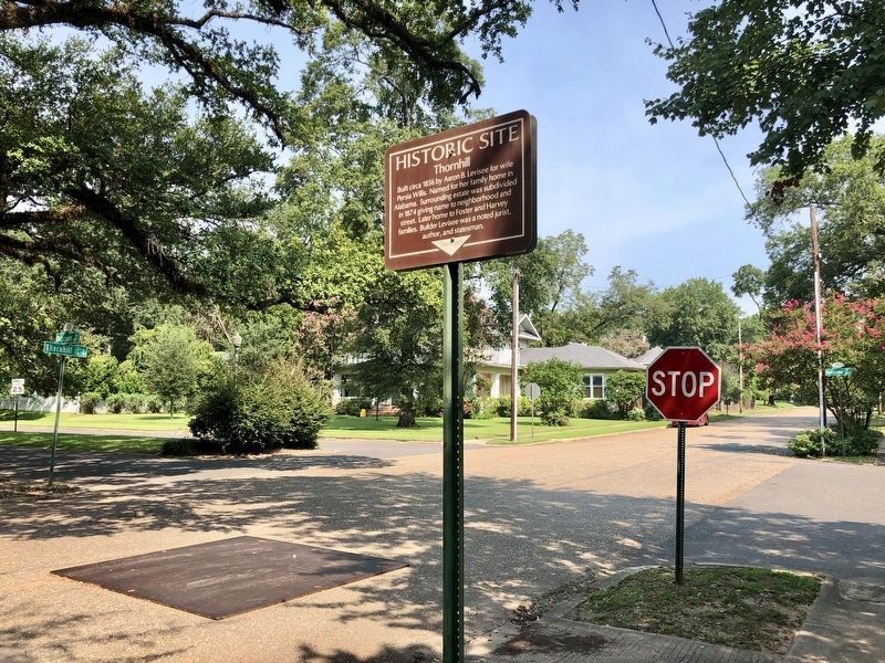 View north on Thornhill Avenue. Click for full size. View north on Thornhill Avenue image. Click for full size.