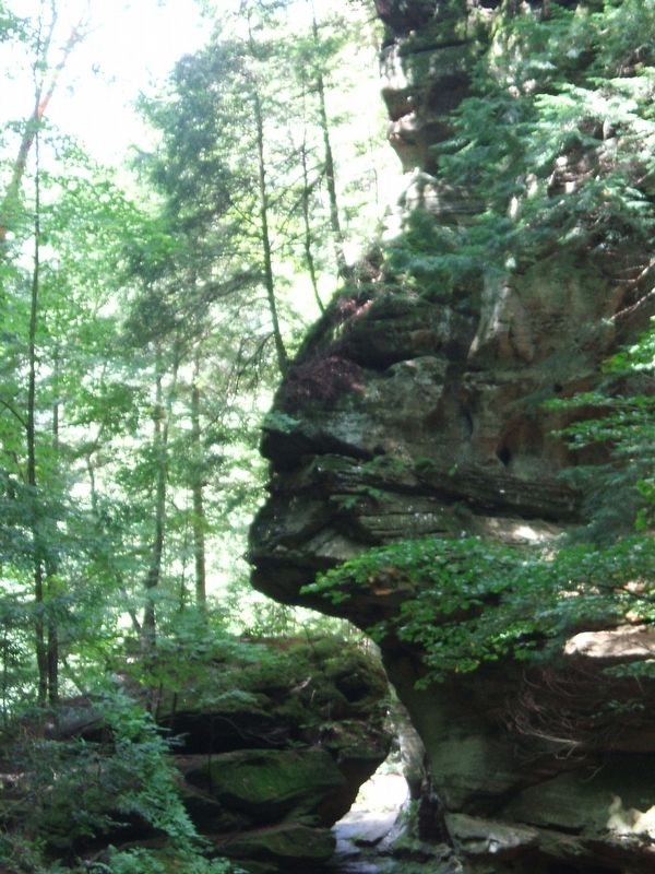 Sphinx Head, Hocking Hills State Park, near Logan Ohio image. Click for full size.