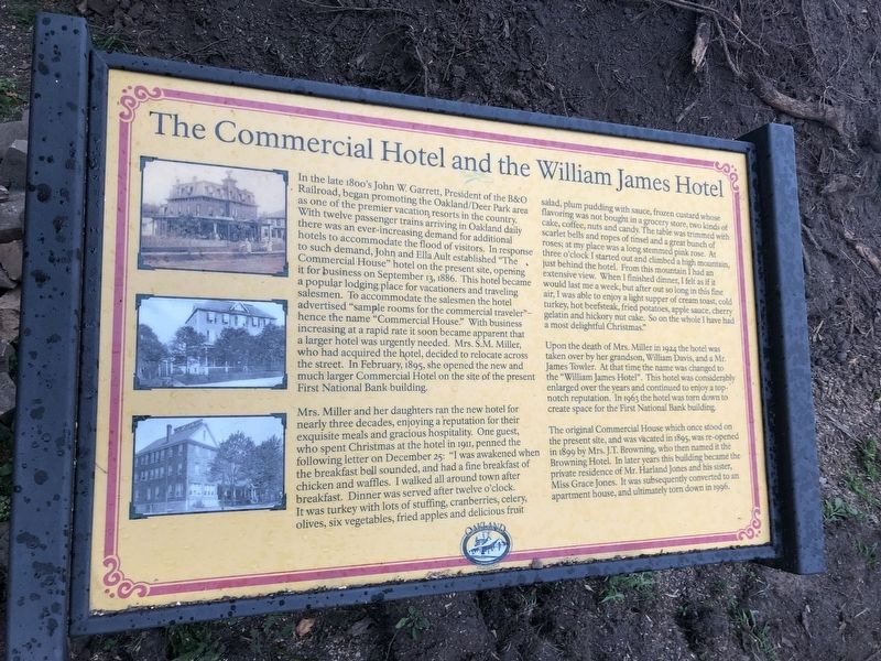 The Commercial Hotel and the William James Hotel Marker. Click for full size. The Commercial Hotel and the William James Hotel Marker image. Click for full size.