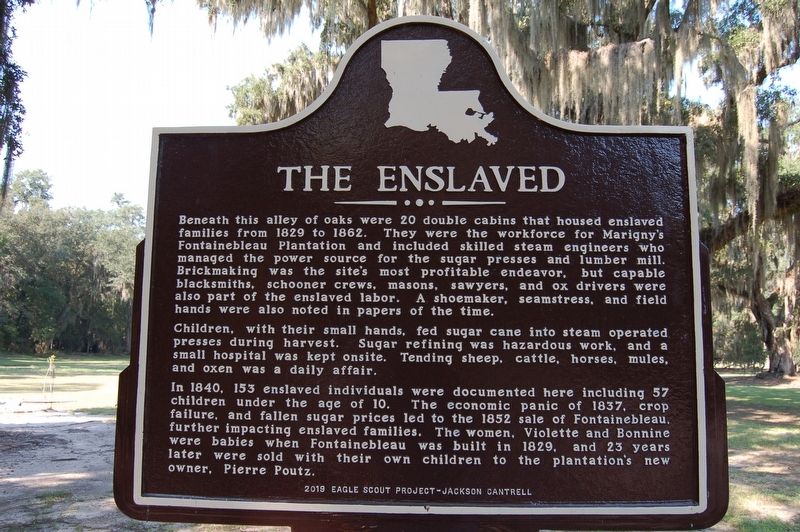 The Enslaved Marker image. Click for full size.