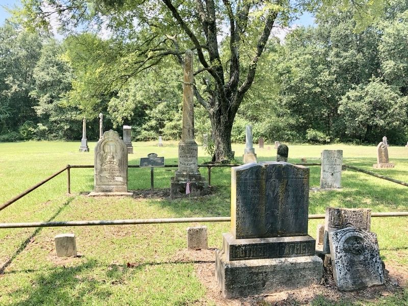 Area photo of the Emory Rains gravesite and historical marker. image. Click for full size.