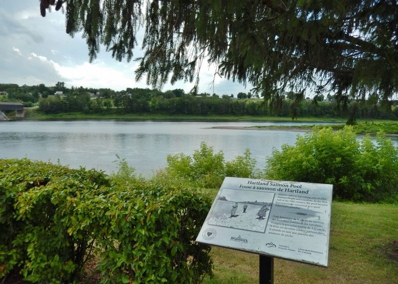 Hartland Salmon Pool Marker<br>(<i>wide view • Saint John River in background</i>) image. Click for full size.