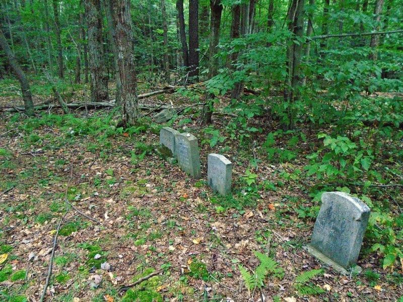Burial Grounds Grave Markers image. Click for full size.