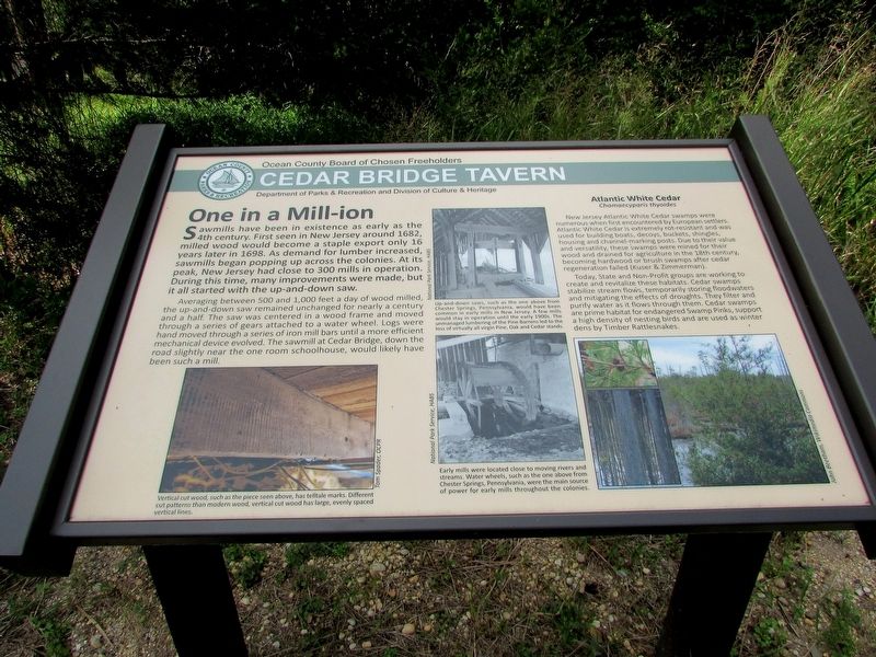 One in a Mill-ion Marker. Click for full size. One in a Mill-ion Marker image. Click for full size.