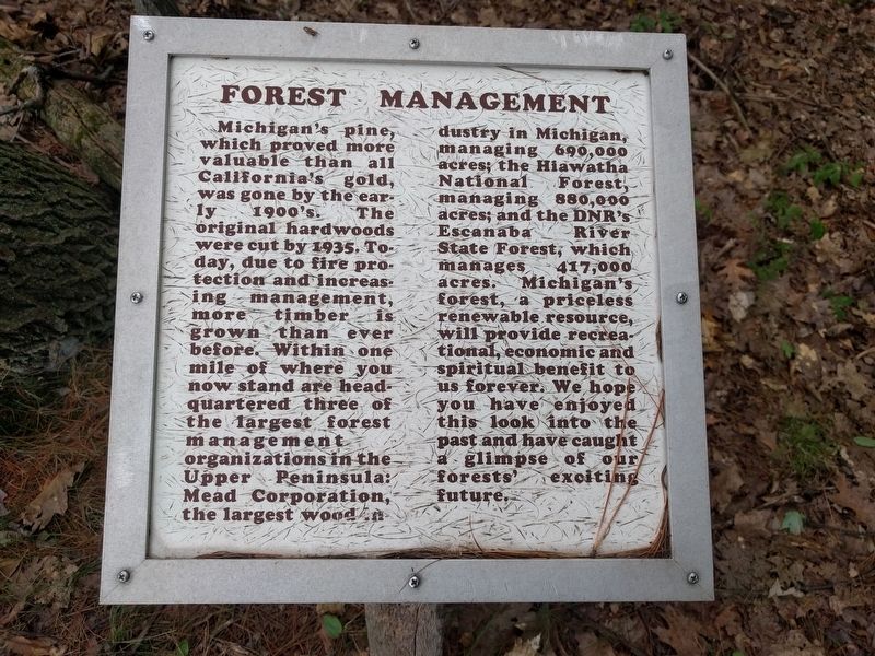 Forest Management Marker image. Click for full size.