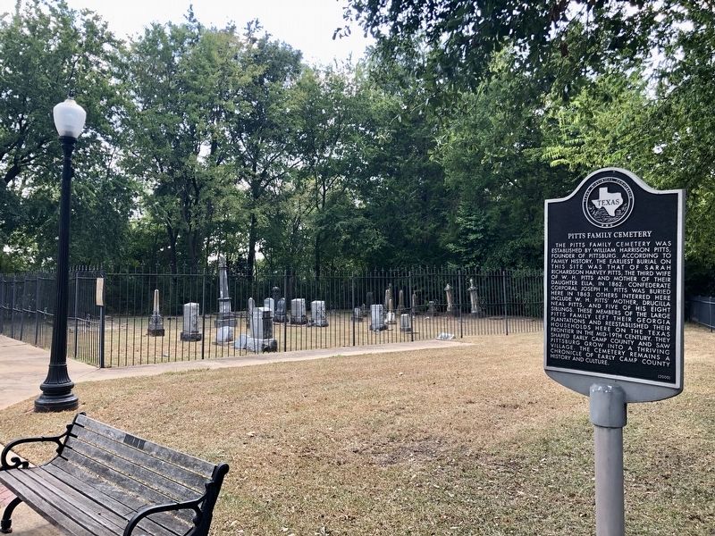 Pitts Family Cemetery Marker with Pitts family cemetery in background. image. Click for full size.