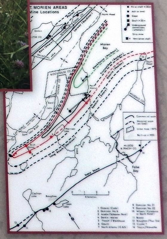 Marker detail: A map of the various coal seams in Port Morien image. Click for full size.