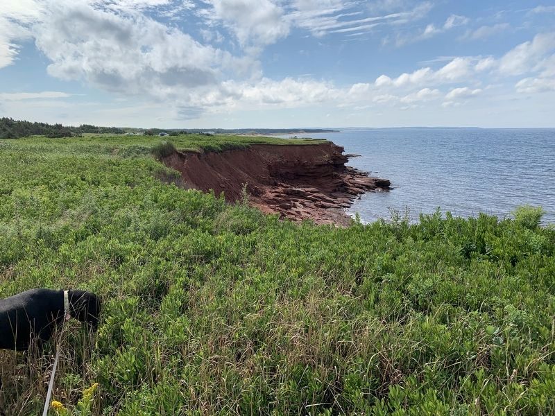 PEI Coast on the Gulf of St. Lawrence image. Click for full size.