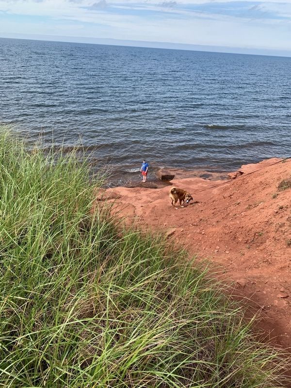 Red Sandstone of Prince Edward Island. Click for full size. Red Sandstone of Prince Edward Island image. Click for full size.