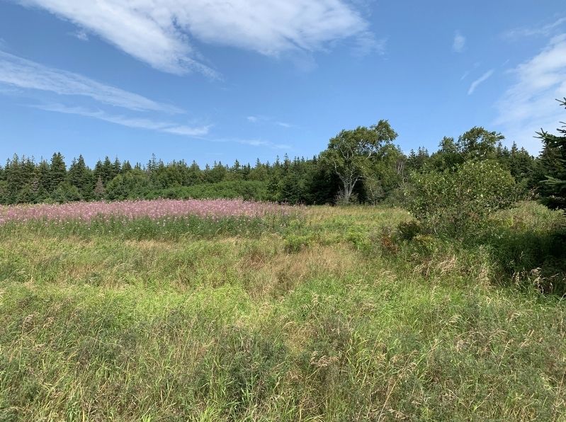 The Sanderson Farmstead Site image. Click for full size.
