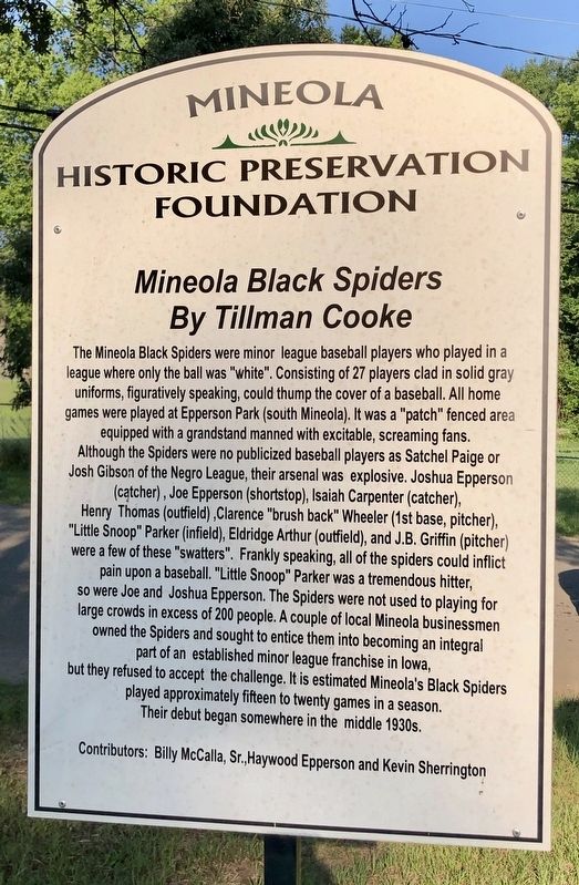 Mineola Black Spiders Marker image. Click for full size.