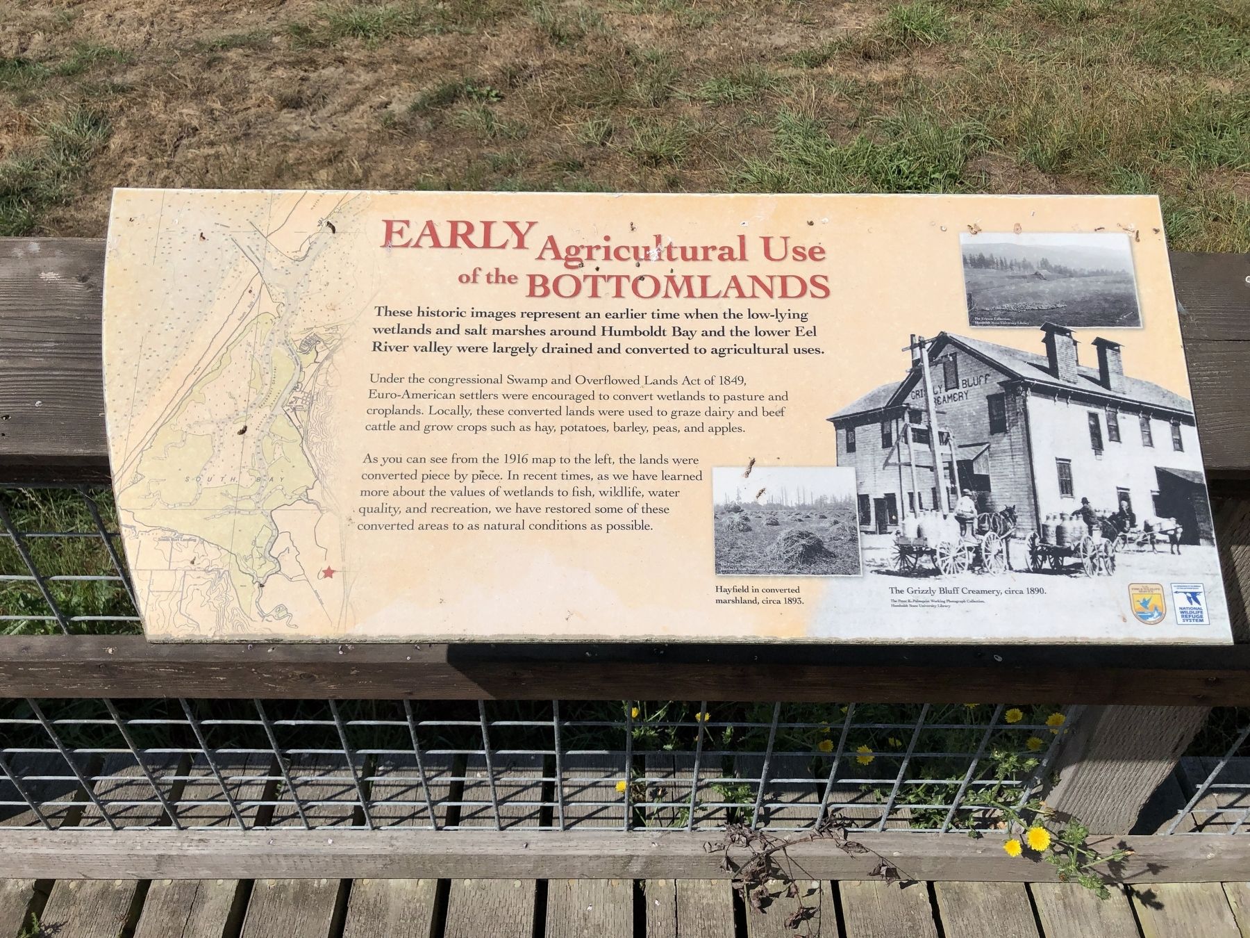 Early Agricultural Use of the Bottomlands Marker image. Click for full size.