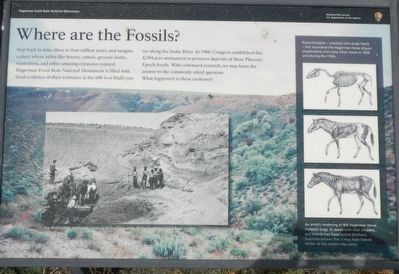 Where are the Fossils? Marker image. Click for full size.