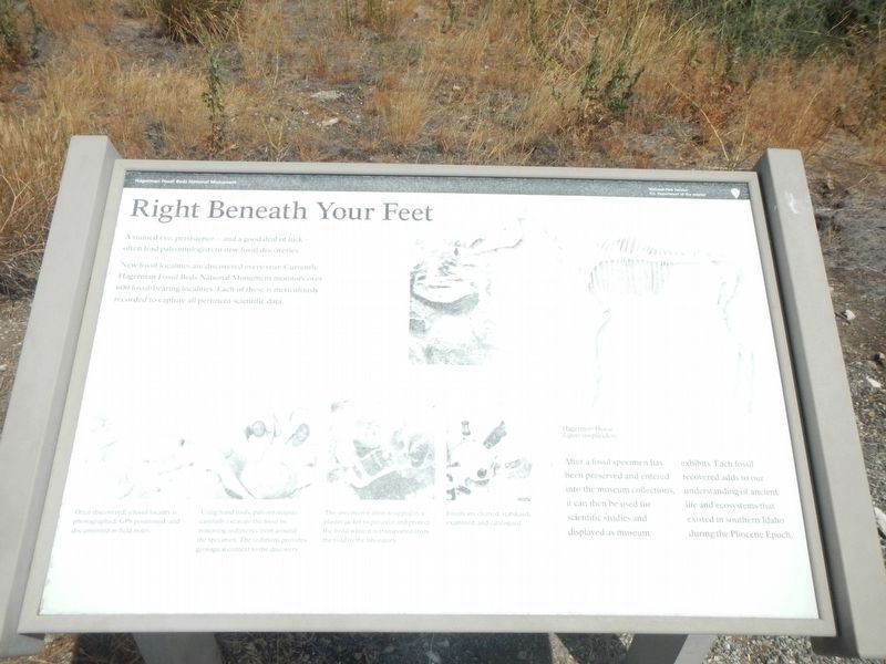 Right Beneath Your Feet Marker image. Click for full size.