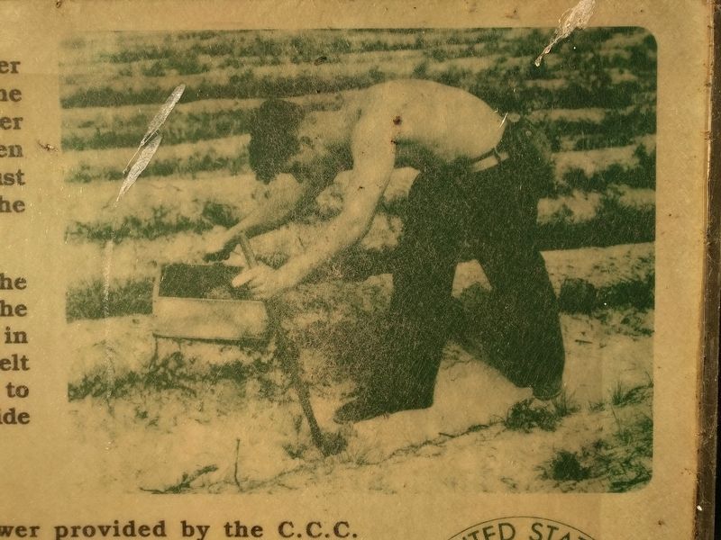 Civilian Conservation Corps Marker - image image. Click for full size.