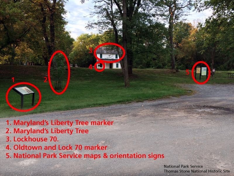 Marylands Liberty Tree Marker and surrounding landscape. image. Click for full size.