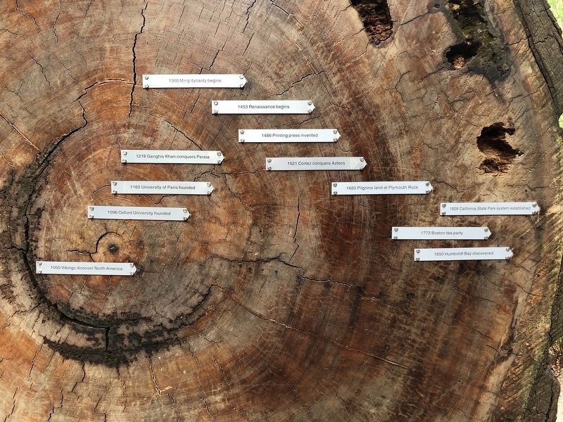 Redwood Time-ring Marker image. Click for full size.