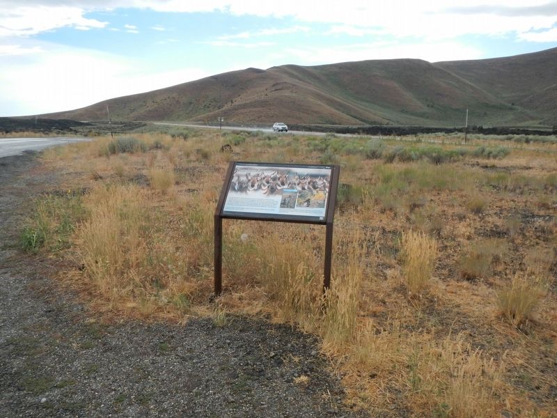 Pronghorn Passage Marker image. Click for full size.