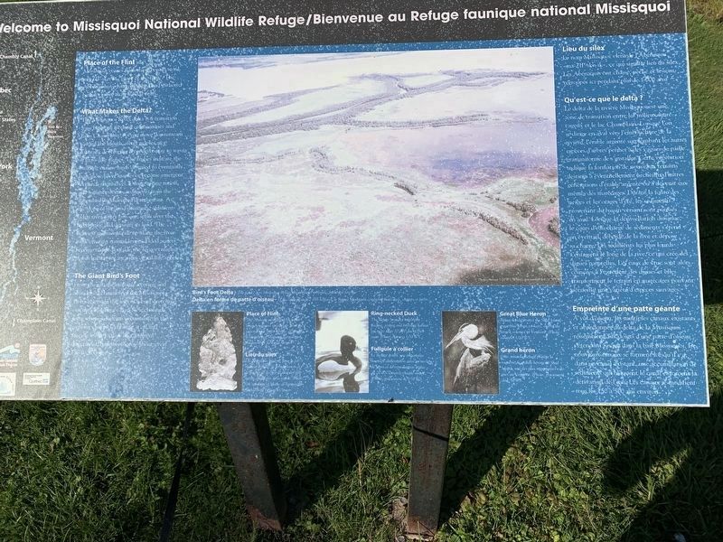 Missisquoi Wildlife Refuge image. Click for full size.