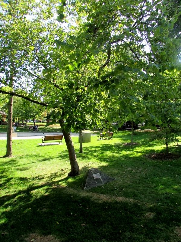 Marker in Simcoe Park image. Click for full size.