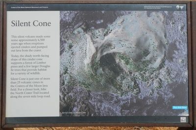 Silent Cone Marker. Click for full size. Silent Cone Marker image. Click for full size.