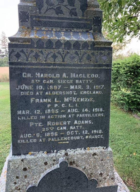 Springbrook First World War Memorial image. Click for full size.