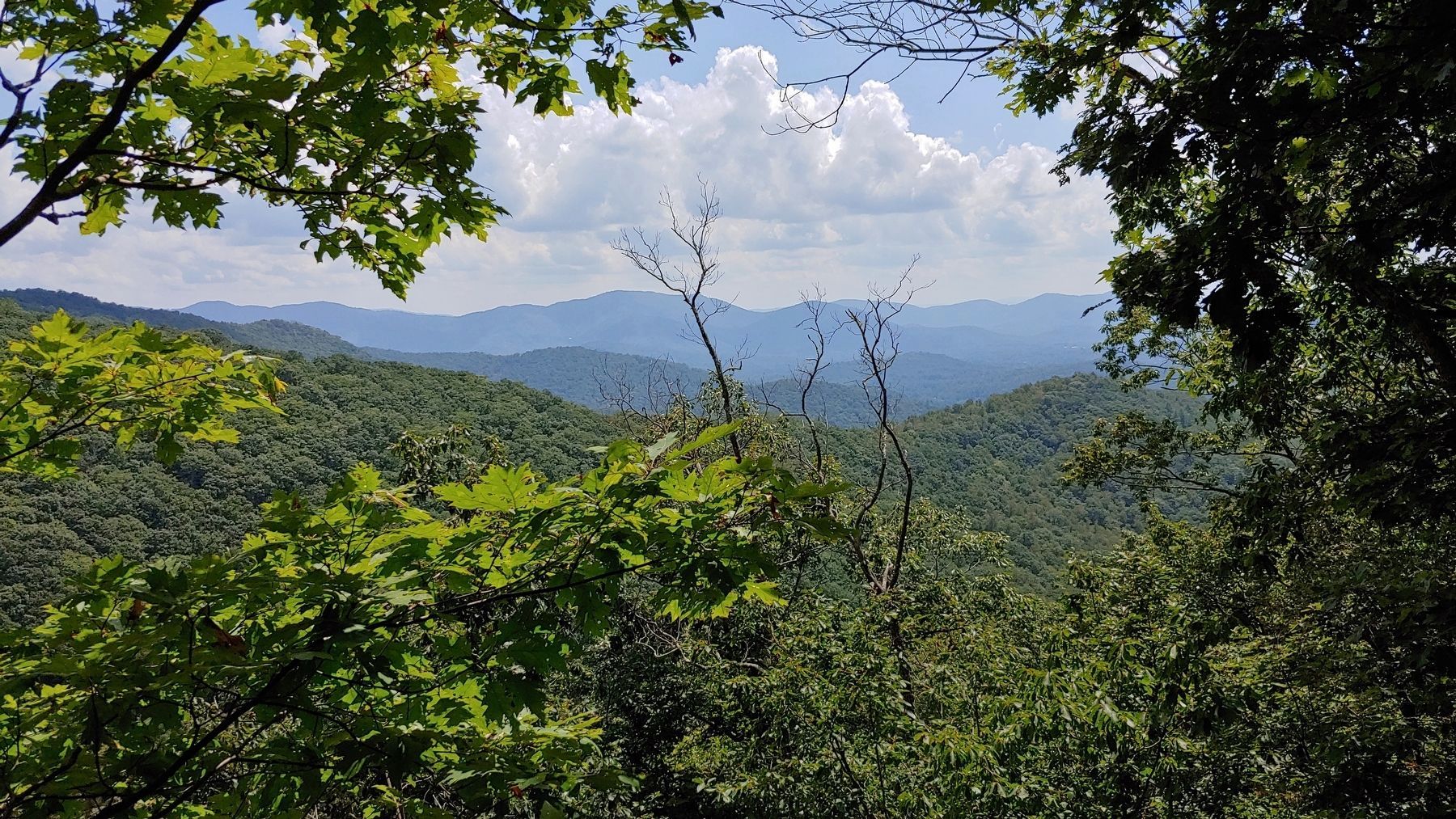 View from Rattlesnake Lodge Trail image. Click for full size.
