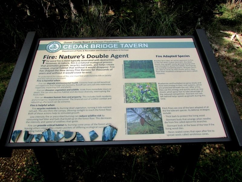 Fire: Nature’s Double Agent Marker. Click for full size. Fire: Nature’s Double Agent Marker image. Click for full size.