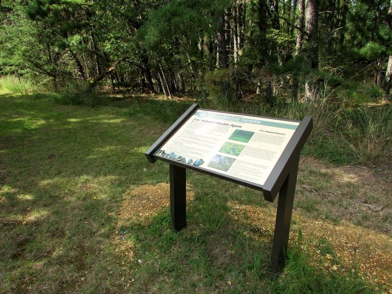 Fire: Nature’s Double Agent Marker. Click for full size. Fire: Nature’s Double Agent Marker image. Click for full size.