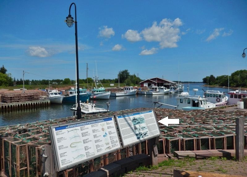 The “Harbour” / Le « Harbour » Marker<br>(<i>wide view looking north across Murray Harbour</i>). Click for full size. The “Harbour” / Le « Harbour » Marker<br>(<i>wide view looking north across Murray Harbour</i>) image. Click for full size.