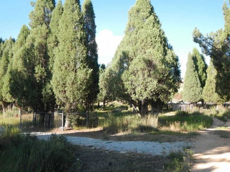 Pioneer Cedar Cemetery image. Click for full size.