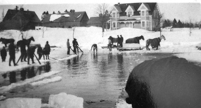 Marker detail: Cutting Ice on Andrew's Millpond, 1920s image. Click for full size.