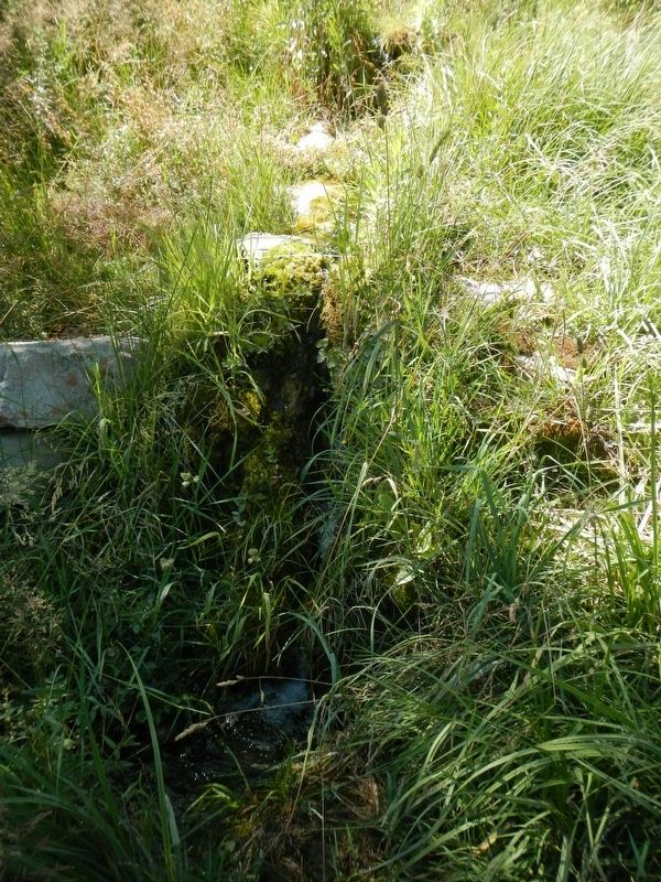 The spring. Click for full size. The spring image. Click for full size.