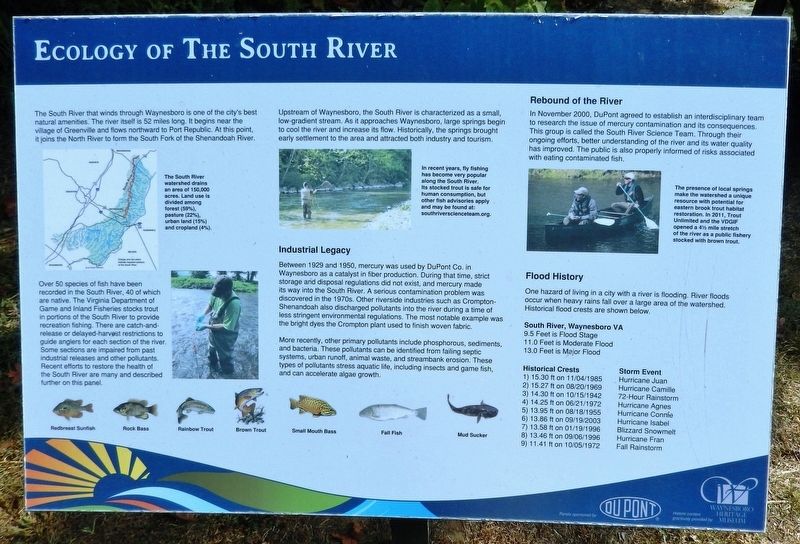 Ecology of the South River Marker image. Click for full size.